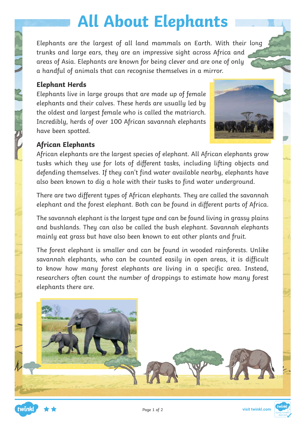 All About Elephants