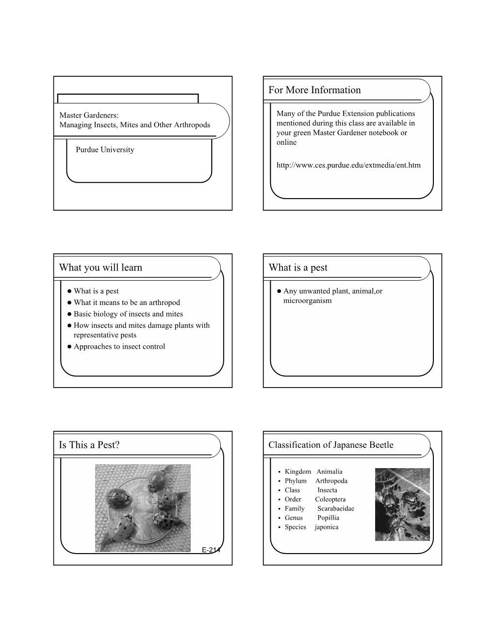 Six Slide Per Page Handout