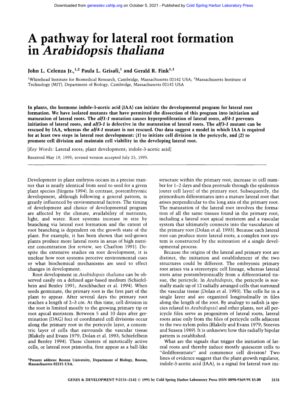 A Pathway for Lateral Root Formation M Arabidopsis Thaliana