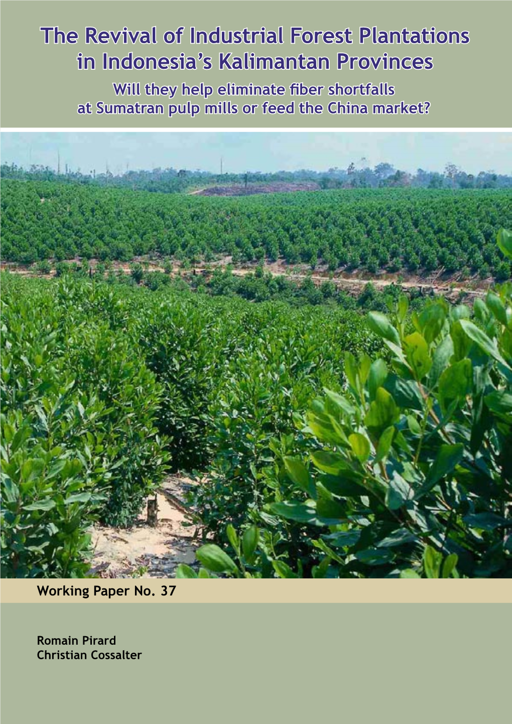 The Revival of Industrial Forest Plantations in Indonesia's Kalimantan Provinces