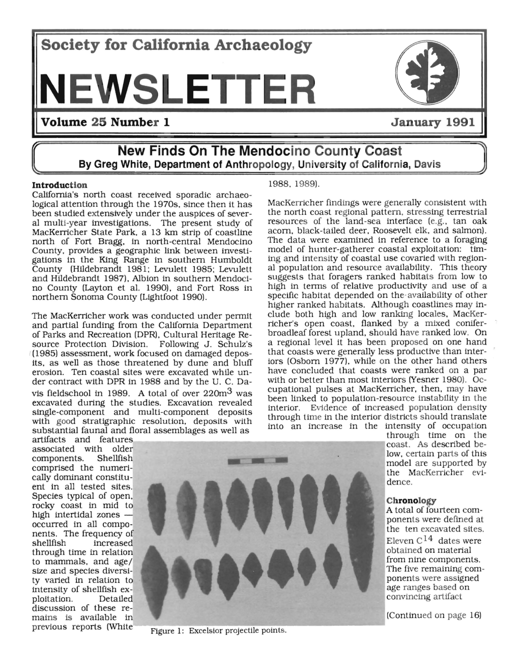 Society for California Archaeology NEWSLETTER Volume 25 Number 1 January 1991