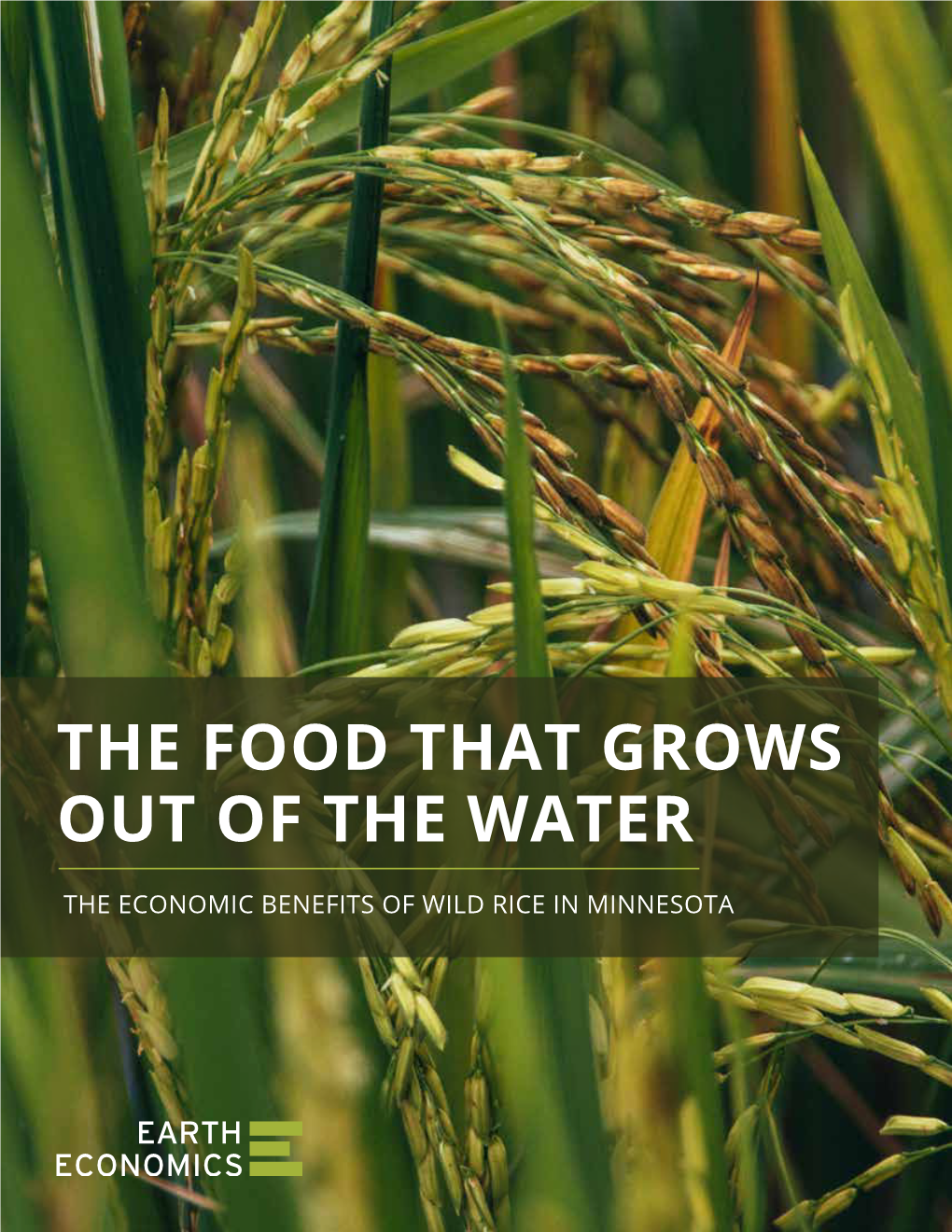 The Food That Grows out of the Water