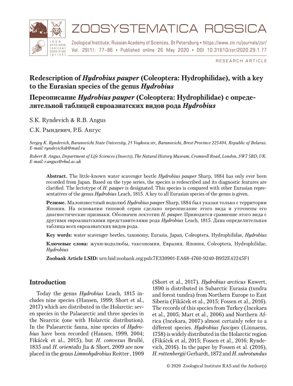 Redescription of Hydrobius Pauper (Coleoptera: Hydrophilidae), with A