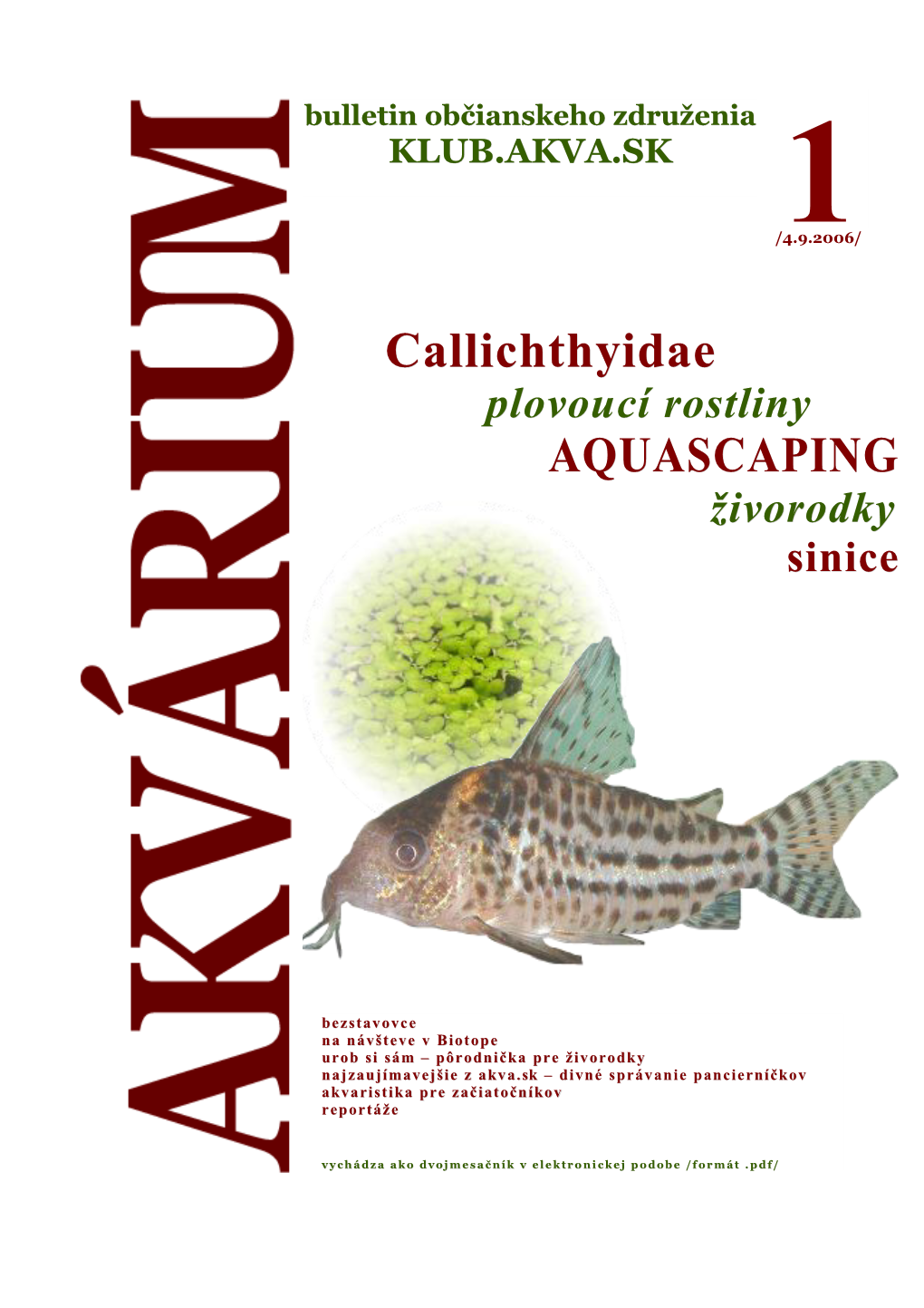 Callichthyidae AQUASCAPING