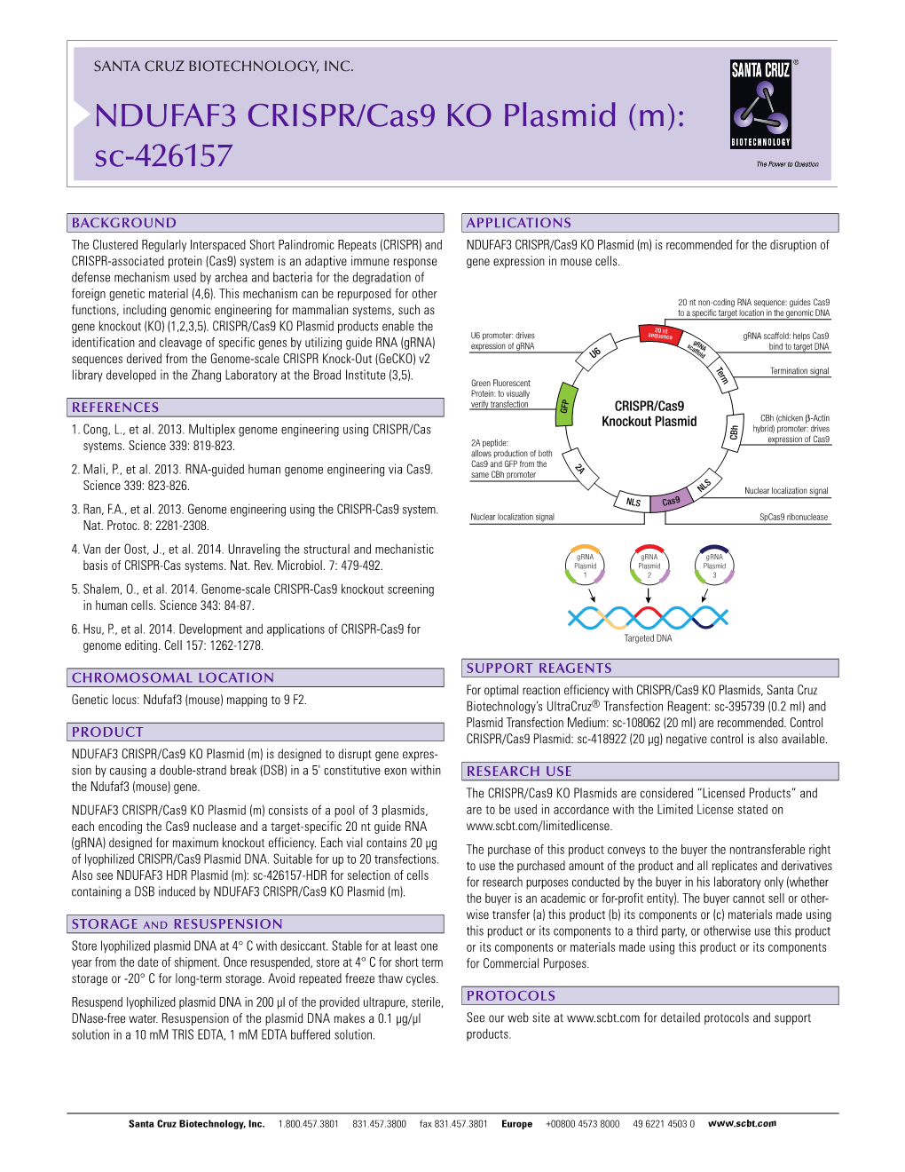 NDUFAF3 CRISPR/Cas9 KO Plasmid (M): Sc-426157
