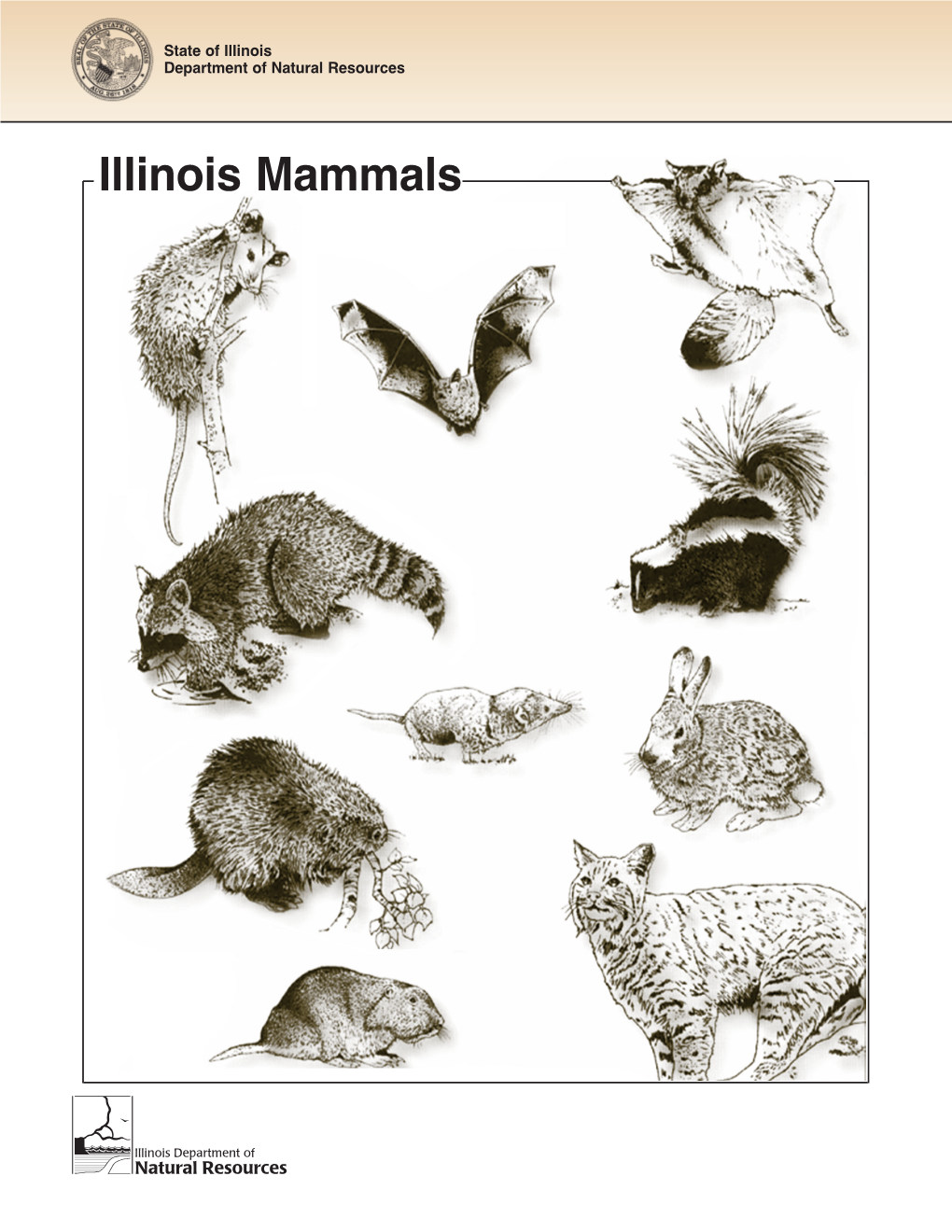 Illinois Mammals What Are Mammals?