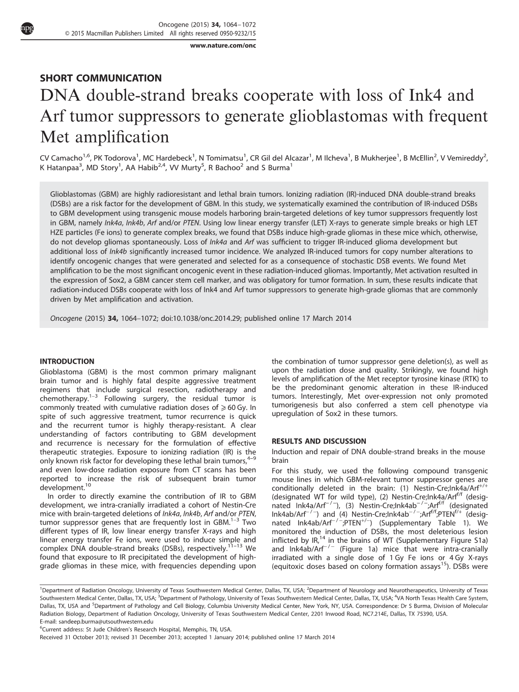 DNA Double-Strand Breaks Cooperate with Loss of Ink4 and Arf Tumor Suppressors to Generate Glioblastomas with Frequent Met Ampliﬁcation