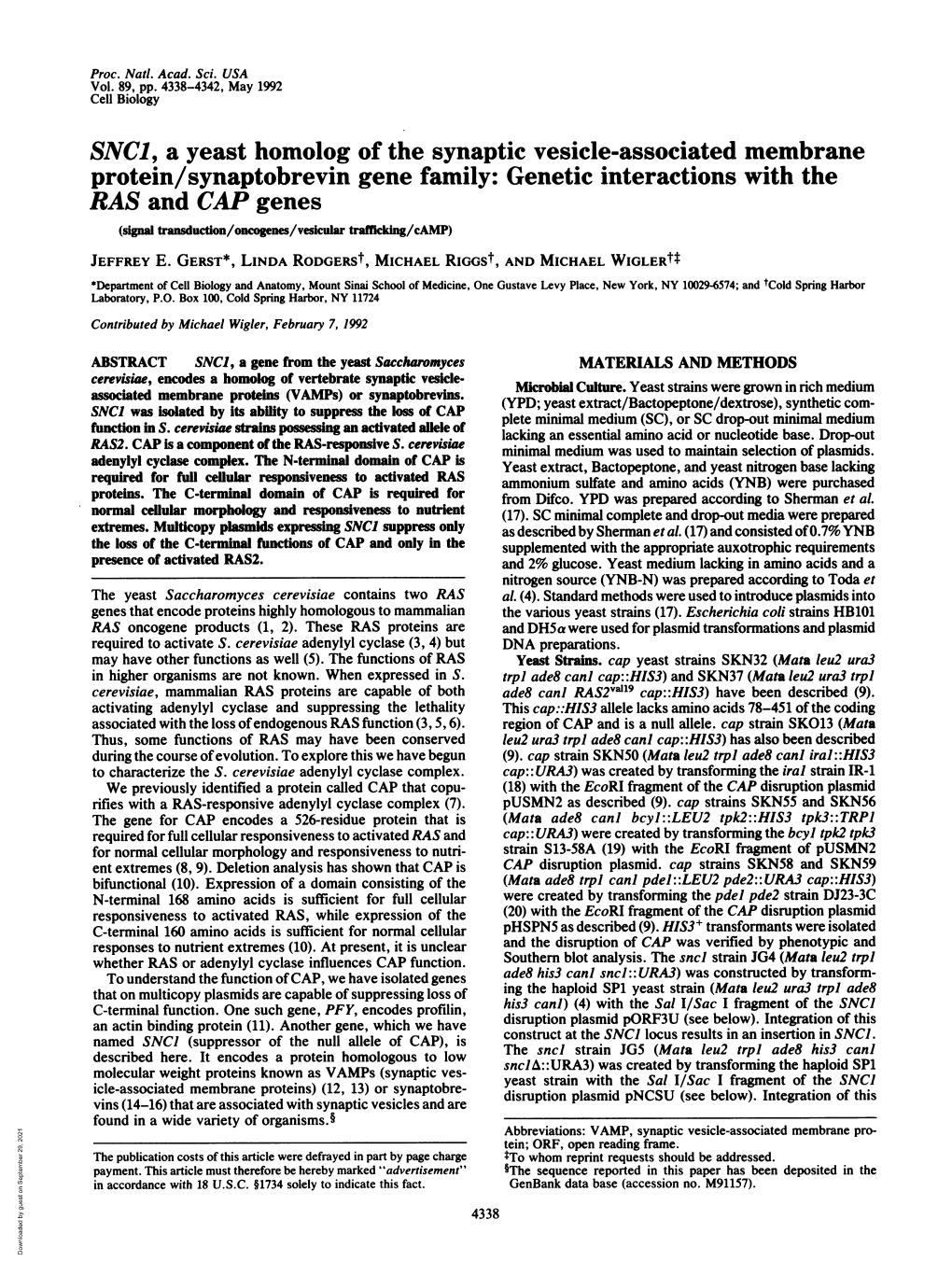 RAS and CAP Genes (Signal Transduction/Onogenes/Vesicular Tafficking/Camp) JEFFREY E