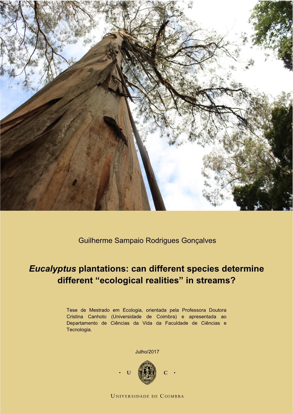 Eucalyptus Plantations: Can Different Species Determine Different “Ecological Realities” in Streams?