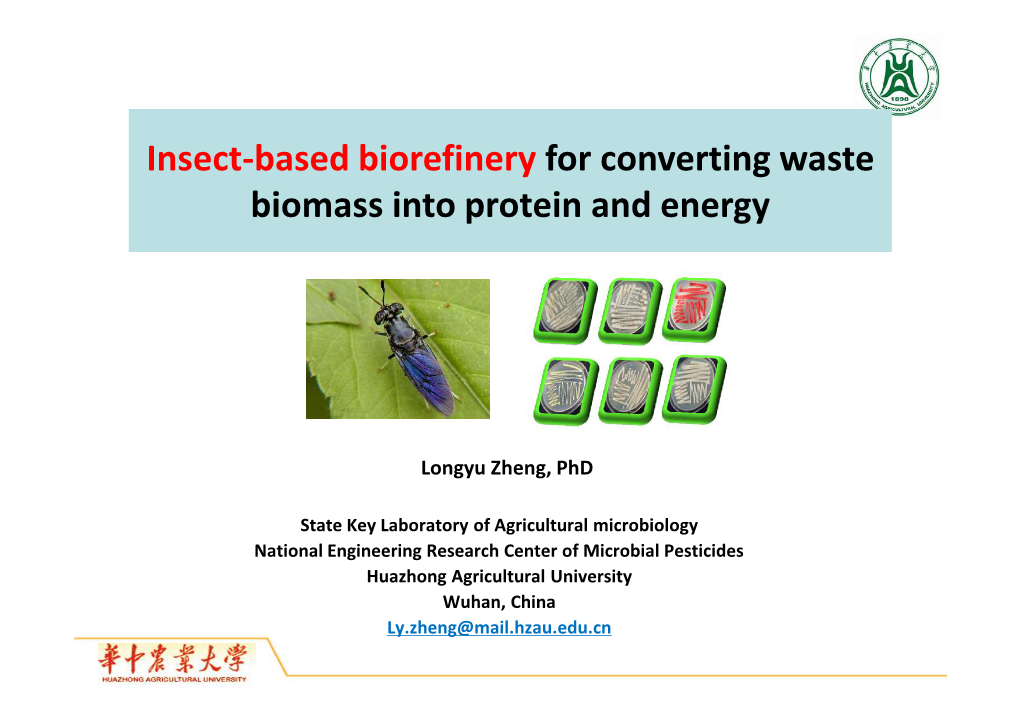Insect-Based Biorefinery for Converting Waste Biomass Into Protein and Energy