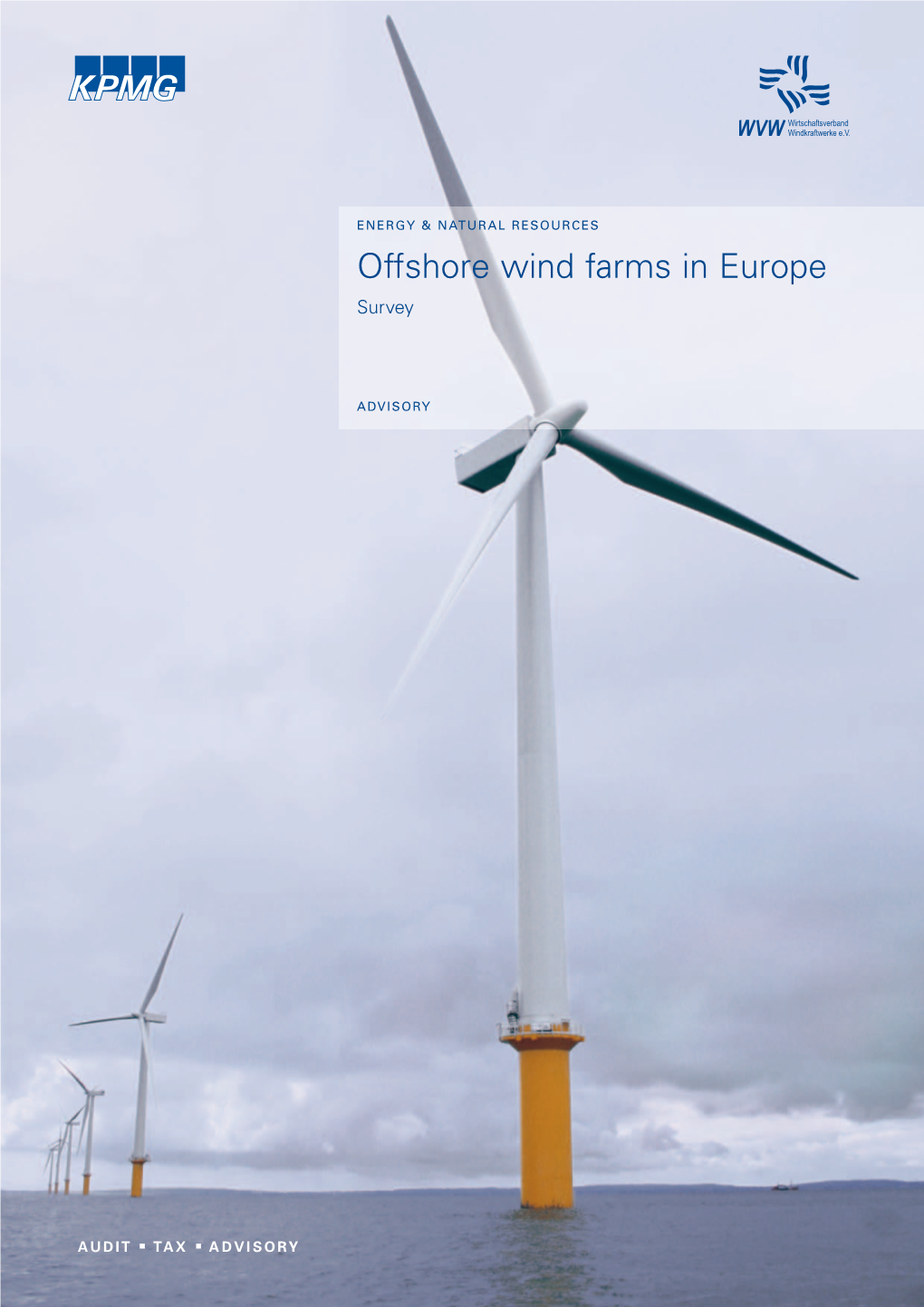 Offshore Wind Farms in Europe. Survey