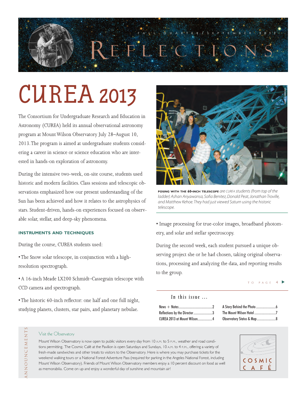 R Curea 2013