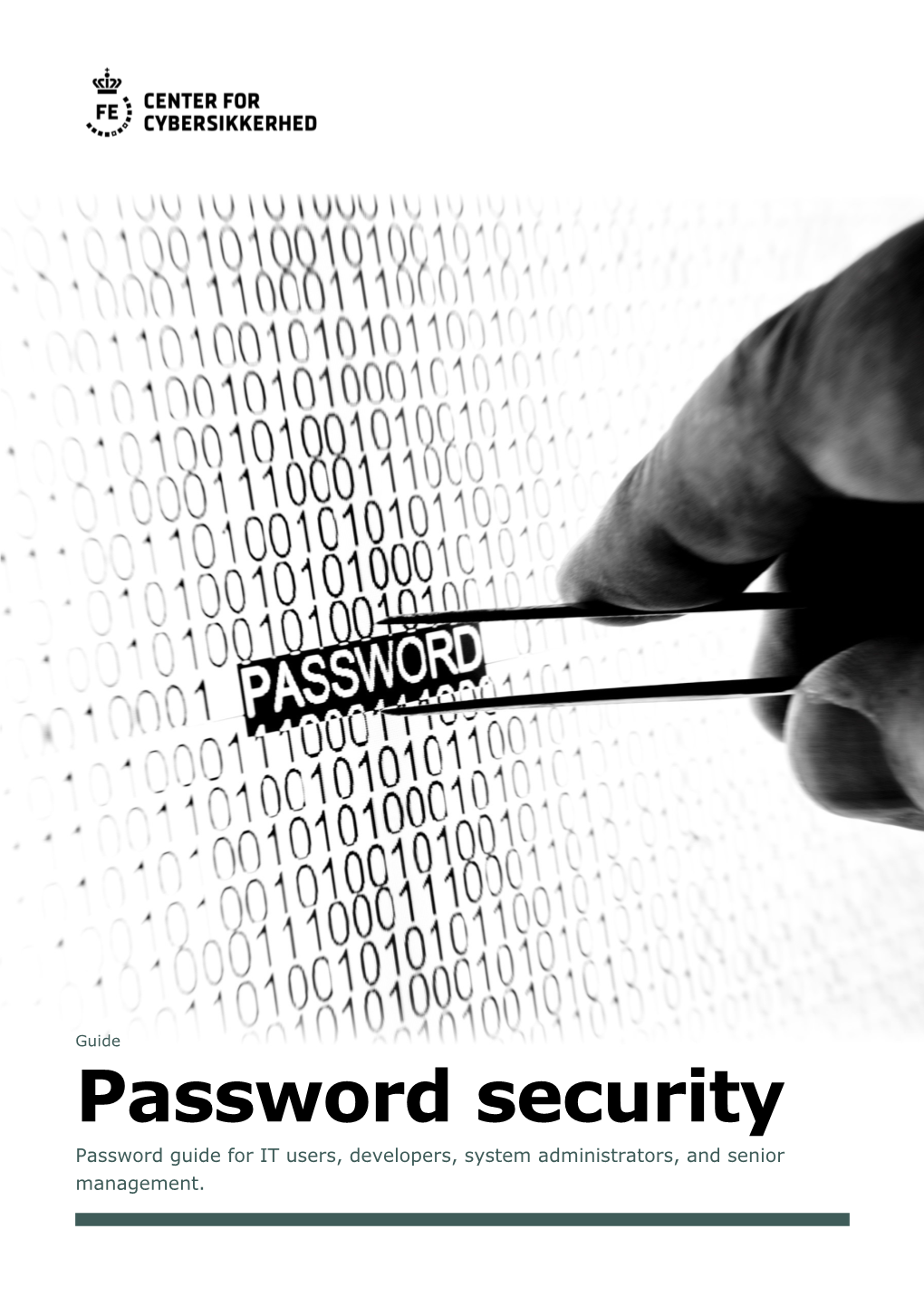 Password Security Password Guide for IT Users, Developers, System Administrators, and Senior Management