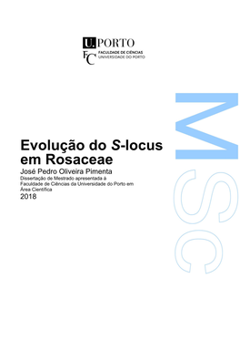 Evolução Do S-Locus Em Rosaceae