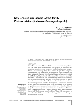 New Species and Genera of the Family Pickworthiidae (Mollusca, Caenogastropoda)