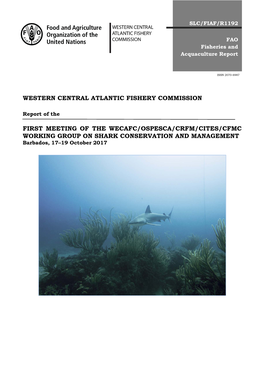 Report of the First Meeting of the WECAFC/OSPESCA/CRFM/CITES/CFMC Working Group on Shark Conservation and Management