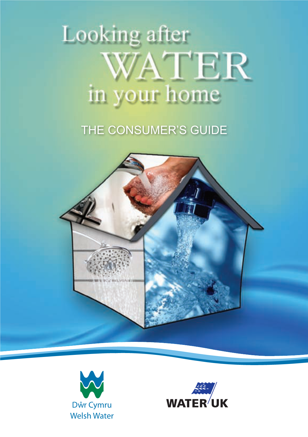 Looking Afetr Water in Your Home