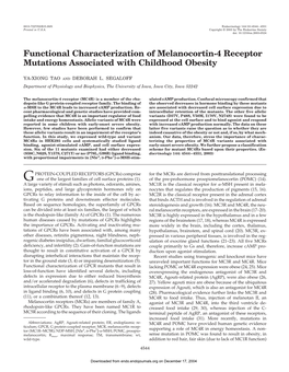 Functional Characterization of Melanocortin-4 Receptor Mutations Associated with Childhood Obesity