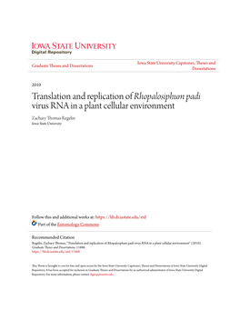 Translation and Replication of &lt;I&gt;Rhopalosiphum Padi&lt;/I&gt; Virus