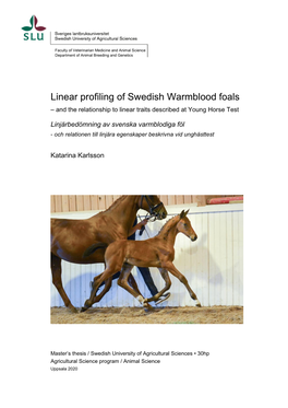 Linear Profiling of Swedish Warmblood Foals – and the Relationship to Linear Traits Described at Young Horse Test