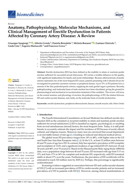 Anatomy, Pathophysiology, Molecular Mechanisms, and Clinical Management of Erectile Dysfunction in Patients Affected by Coronary Artery Disease: a Review