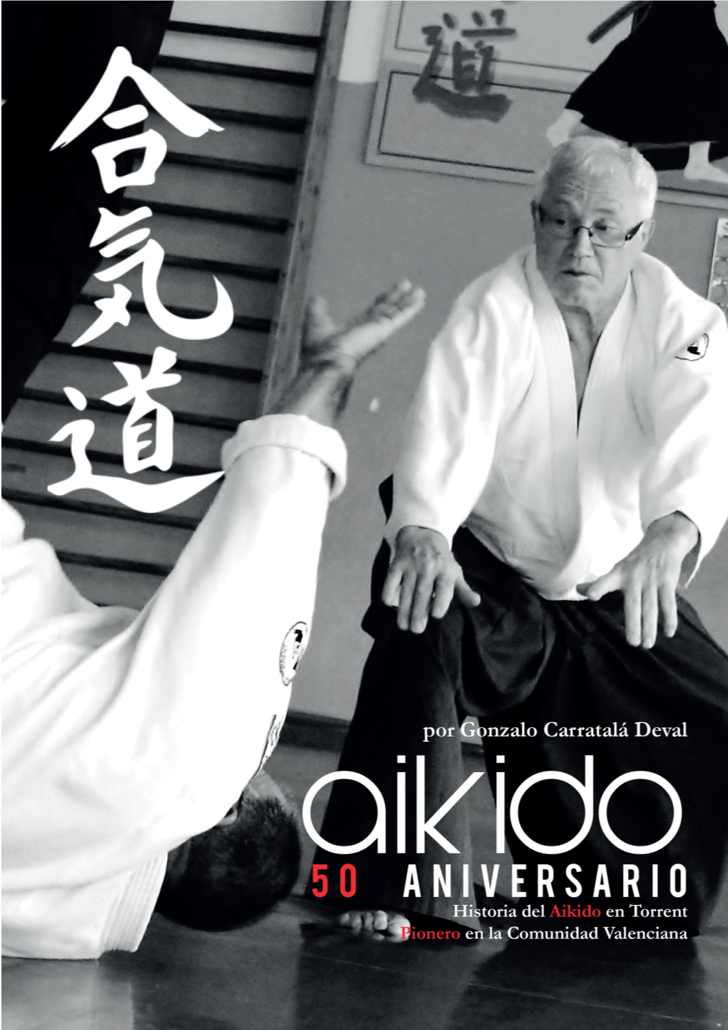 Historia Del Aikido En Torrent 5