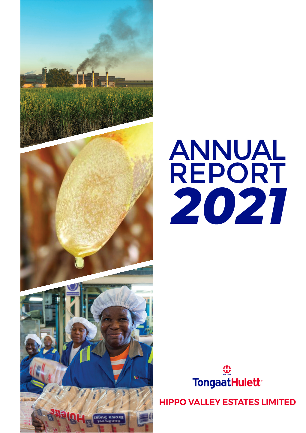 HIPO.Zw 2021 Annual Report