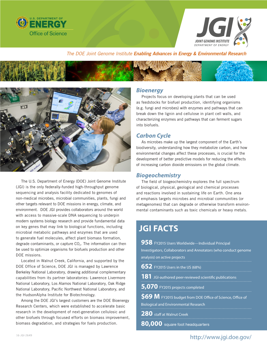 JGI FACTS to Generate Fuel Molecules, Affect Plant Biomass Formation, Degrade Contaminants, Or Capture CO2