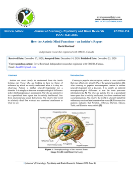 How the Autistic Mind Functions – an Insider’S Report
