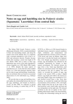 Notes on Egg and Hatchling Size in Podarcis Siculus (Squamata: Lacertidae) from Central Italy