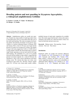 Breeding Pattern and Nest Guarding in Sicyopterus Lagocephalus, a Widespread Amphidromous Gobiidae