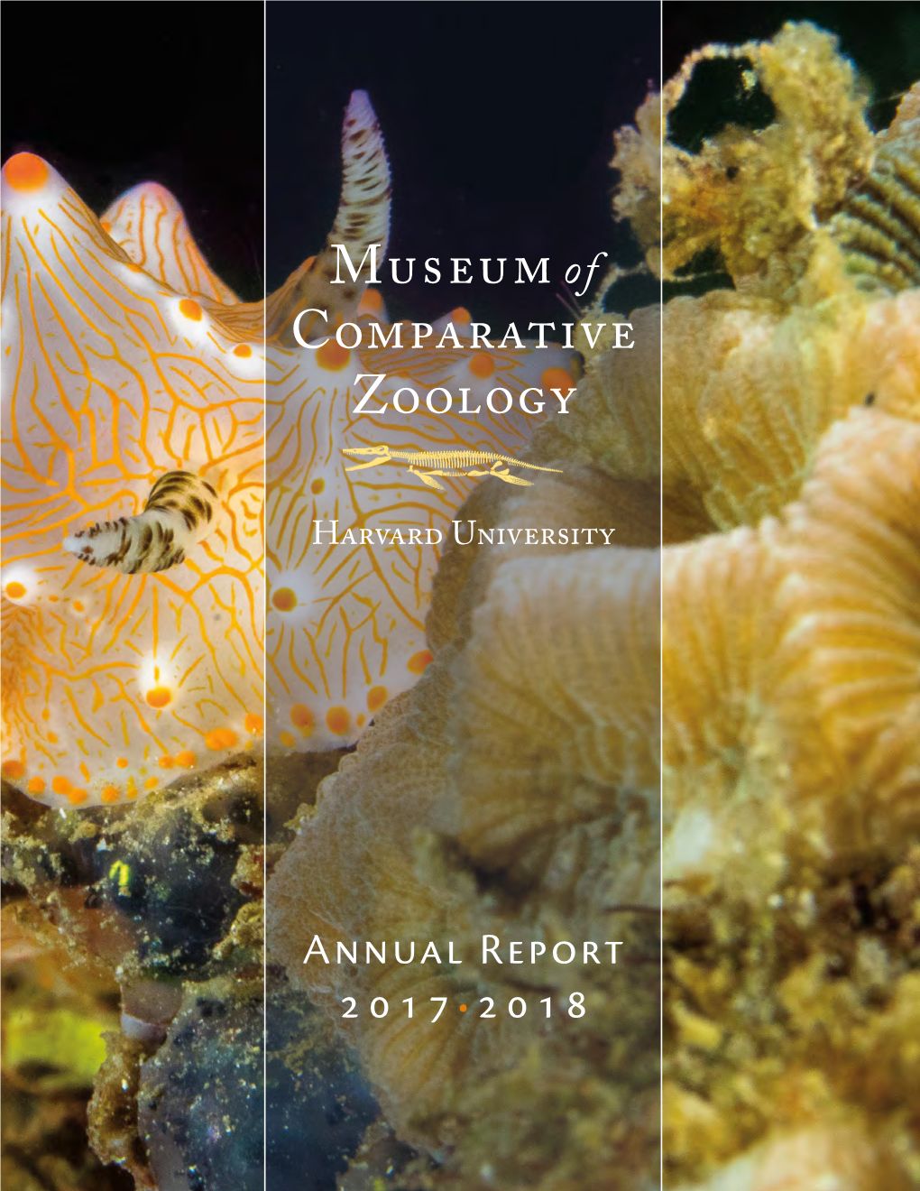 Cover: a Nudibranch of the Genus Halgerda Grazes in Appreciation of the Value of on Research Making Headlines the Waters of North Sulawesi, Indonesia