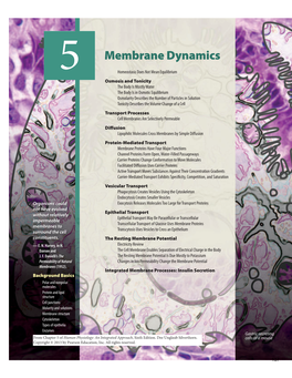 5 Membrane Dynamics