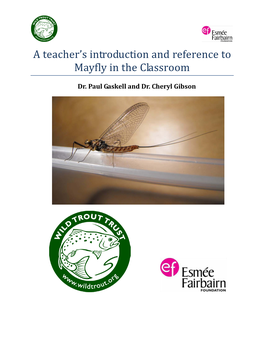 A Teacher's Introduction and Reference to Mayfly in the Classroom
