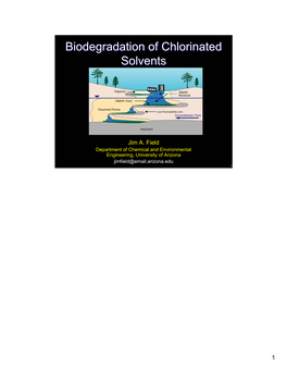 Biodegradation of Chlorinated Biodegradation of Chlorinated