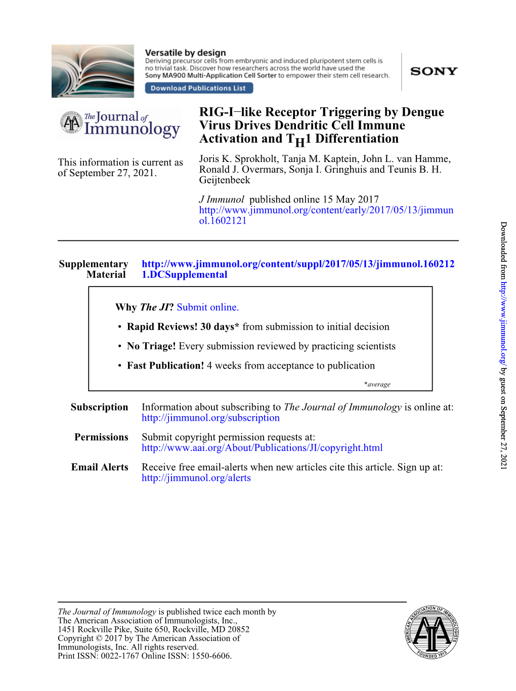 RIG-I–Like Receptor Triggering by Dengue Virus Drives Dendritic Cell Immune Activation and TH1 Differentiation