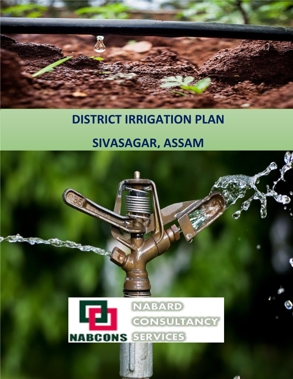 District Irrigation Plan, 2016-2020 Sivasagar, Assam