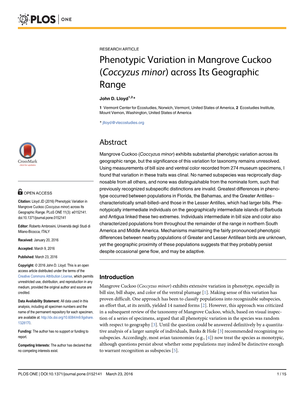 Phenotypic Variation in Mangrove Cuckoo (Coccyzus Minor) Across Its Geographic Range