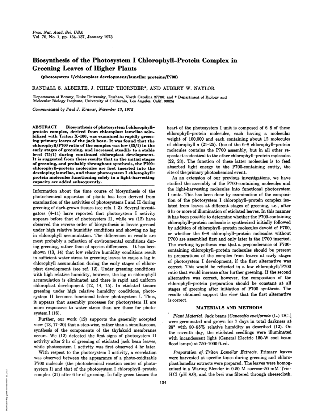 Biosynthesis of the Photosystem I Chlorophyll-Protein Complex in Greening Leaves of Higher Plants (Photosystem I/Chloroplast Development/Lamellar Proteins/P700)