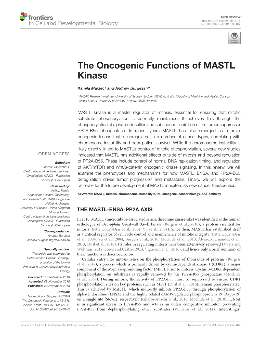 The Oncogenic Functions of MASTL Kinase