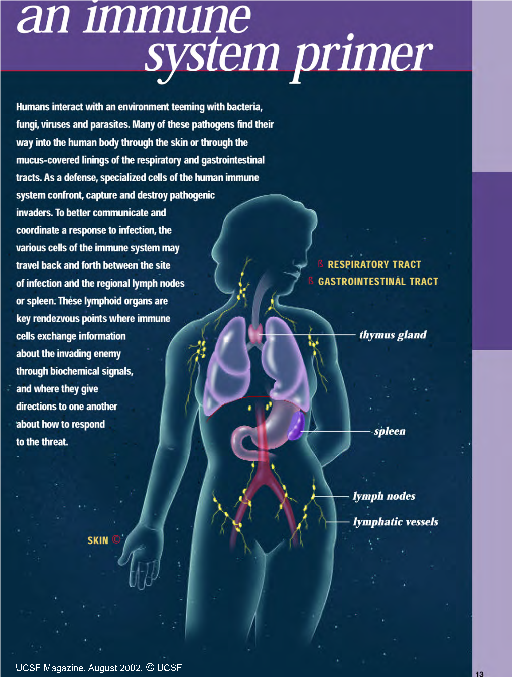 Immune-System-Primer 0.Pdf