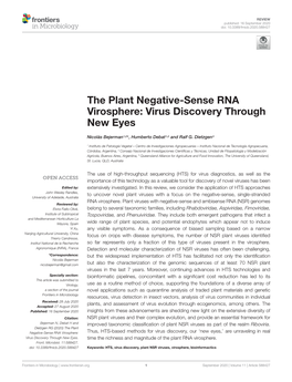 The Plant Negative-Sense RNA Virosphere: Virus Discovery Through New Eyes
