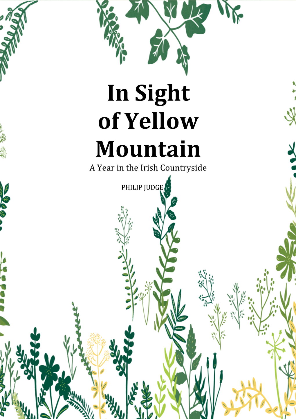 In Sight of Yellow Mountain a Year in the Irish Countryside
