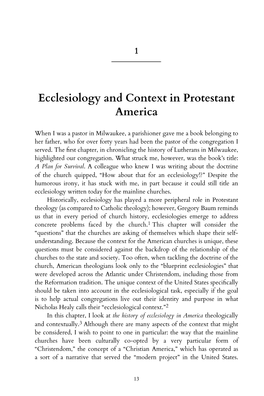Ecclesiology and Context in Protestant America