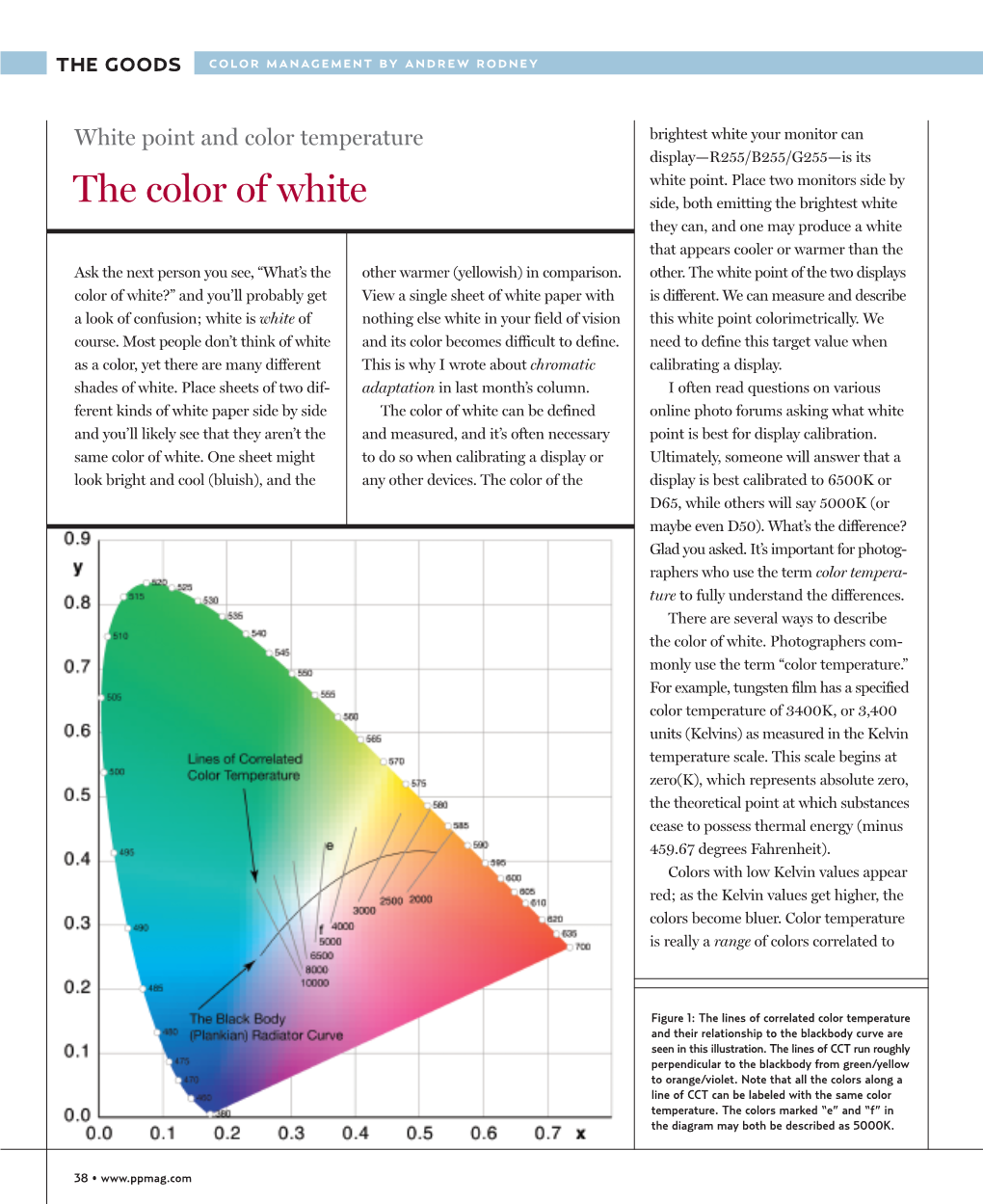 The Color of White