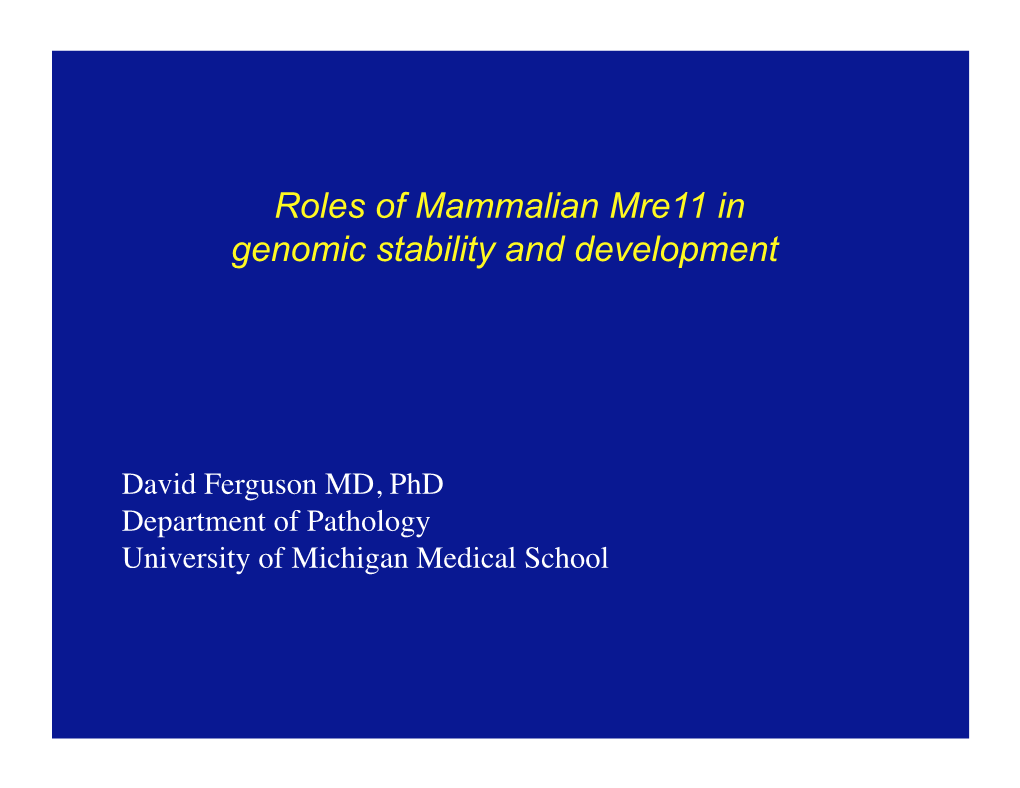 Roles of Mammalian Mre11 in Genomic Stability and Development