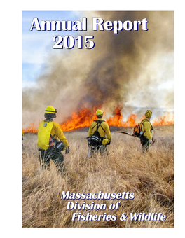 Annual Report 2015