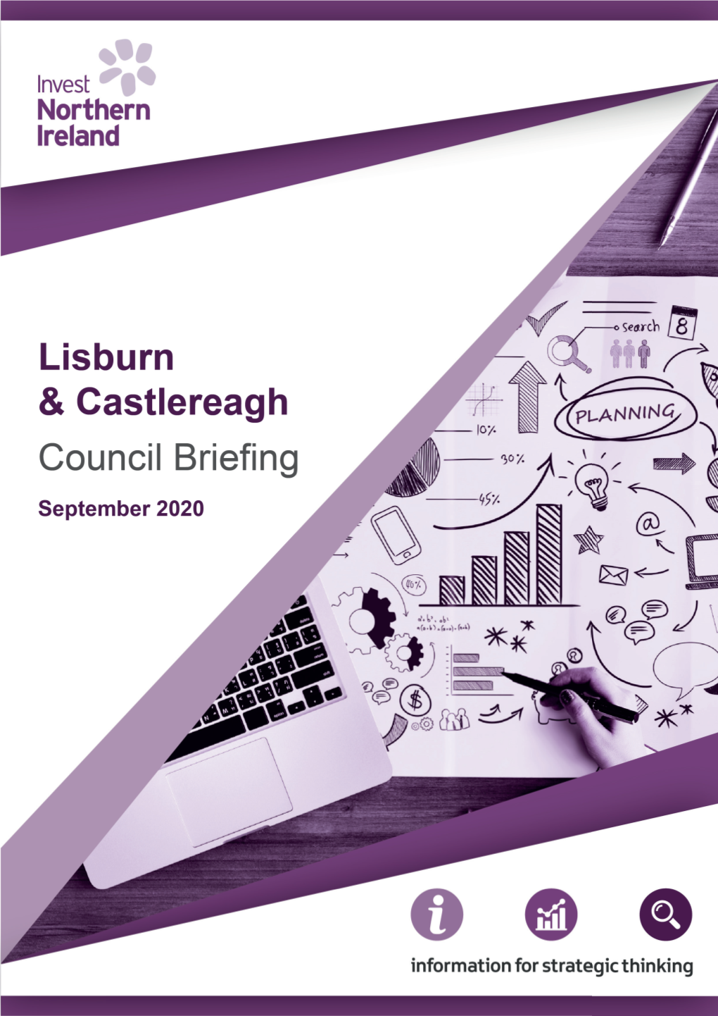 Lisburn and Castlereagh Council Area (PDF)