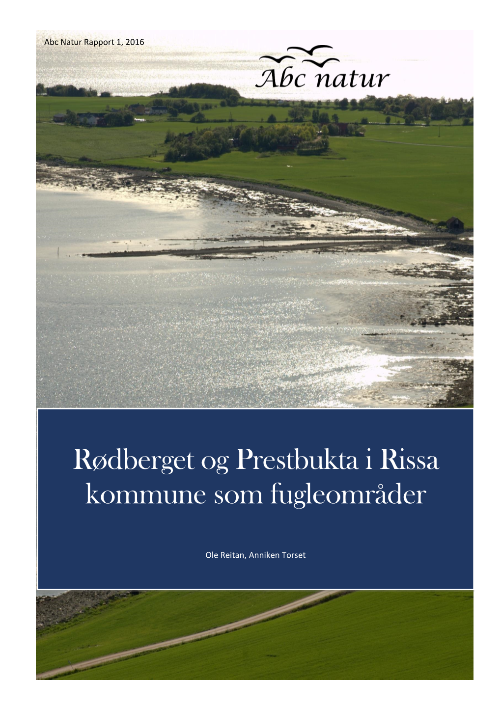 Rødberget Og Prestbukta I Rissa Kommune Som Fugleområder