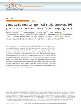 Large-Scale Neuroanatomical Study Uncovers 198 Gene Associations in Mouse Brain Morphogenesis